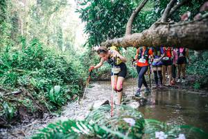 BIB: 
                            <button type="button" onclick="openModal(25476509)" class="btn btn-primary btn-sm float-right btn-popup" data-toggle="modal" data-target=".modal-high-quality">
                        <i class="fas fa-shopping-cart"></i> Add to Cart
                    </button>
                                            <button type="button" onclick="isThisMe(25476509, true)" class="btn btn-success btn-sm float-right btn-popup btn-isme hidden" data-toggle="tooltip" data-placement="bottom" title="นี่คือรูปของคุณใช่ไหม คลิกที่นี่เพื่อเอาเข้าอัลบั้ม">
                        <i class="fas fa-plus"></i> Add to album
                    </button>
                    <button type="button" onclick="isThisMe(25476509, false)" class="btn btn-warning btn-sm float-right btn-popup btn-isnotme hidden">
                        <i class="fas fa-ban"></i> Remove from album
                    </button>